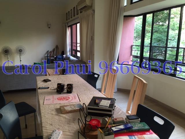 Mayfair Gardens (Enbloc) (D21), Condominium #96082492